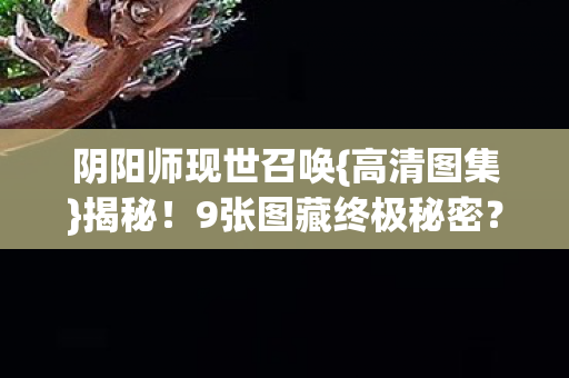 9张图藏终极秘密图片