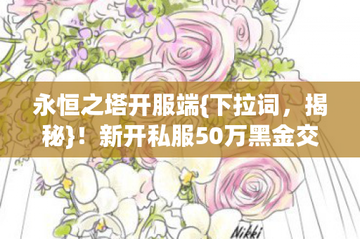 新开私服50万黑金交易隐情图片