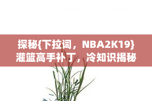探秘{下拉词,NBA2K19}灌篮高手补丁,冷知识揭秘时间炸弹 探秘{下拉词,NBA2K19}灌篮高手补丁,冷知识揭秘时间炸弹