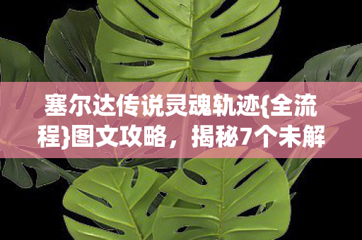 塞尔达传说灵魂轨迹{全流程}图文攻略,揭秘7个未解之谜 塞尔达传说灵魂轨迹{全流程}图文攻略,揭秘7个未解之谜