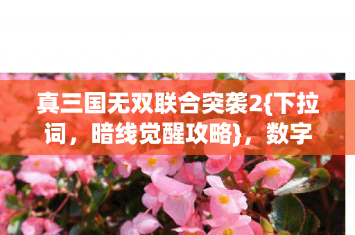 真三国无双联合突袭2{下拉词,暗线觉醒攻略},数字原住民求生记 真三国无双联合突袭2{下拉词,暗线觉醒攻略},数字原住民求生记