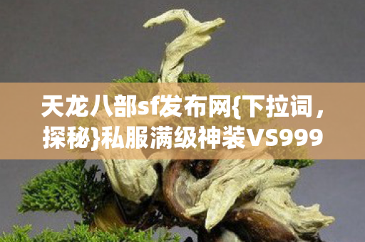 私服满级神装VS999级虚幻王座图片