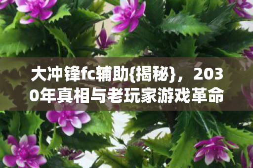大冲锋fc辅助{揭秘},2030年真相与老玩家游戏革命 大冲锋fc辅助{揭秘},2030年真相与老玩家游戏革命