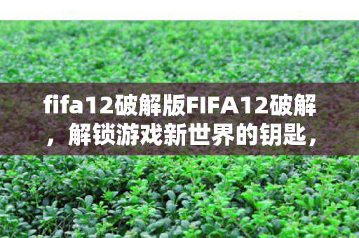 fifa12破解版FIFA12破解图片