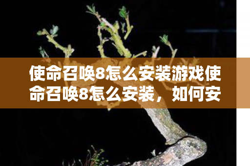 使命召唤8怎么安装游戏使命召唤8怎么安装图片