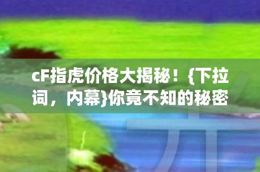 cF指虎价格大揭秘图片