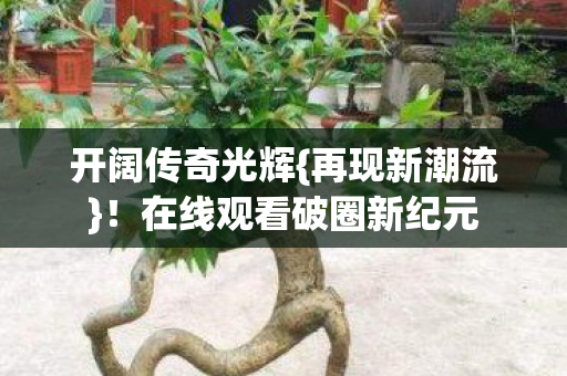 开阔传奇光辉{再现新潮流}!在线观看破圈新纪元 开阔传奇光辉{再现新潮流}!在线观看破圈新纪元
