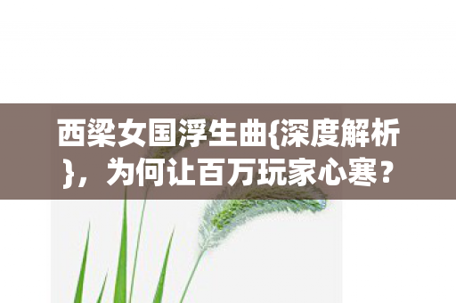 西梁女国浮生曲{深度解析},为何让百万玩家心寒? 西梁女国浮生曲{深度解析},为何让百万玩家心寒?