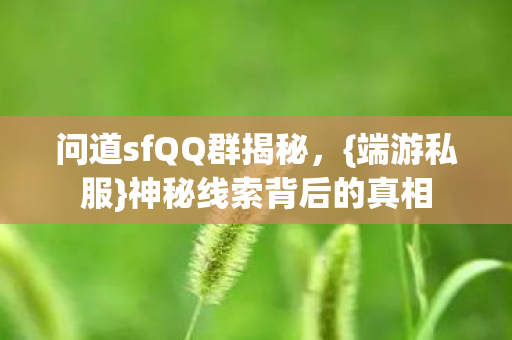 问道sfQQ群揭秘，{端游私服}神秘线索背后的真相
