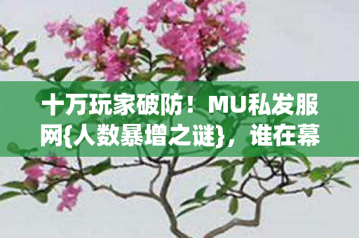 十万玩家破防!MU私发服网{人数暴增之谜},谁在幕后? 十万玩家破防!MU私发服网{人数暴增之谜},谁在幕后?