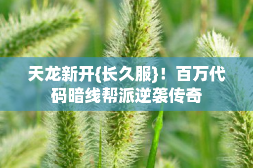 百万代码暗线帮派逆袭传奇图片