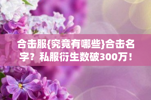 合击服{究竟有哪些}合击名字?私服衍生数破300万! 合击服{究竟有哪些}合击名字?私服衍生数破300万!