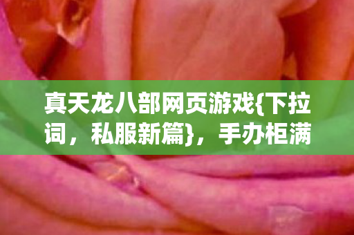 真天龙八部网页游戏图片