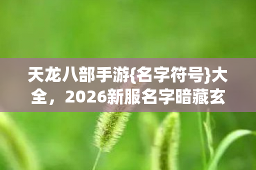 2026新服名字暗藏玄机图片