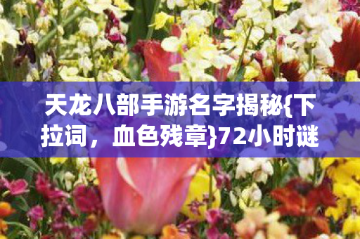 天龙八部手游名字揭秘图片