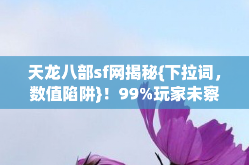 天龙八部sf网揭秘图片