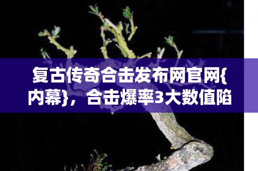 复古传奇合击发布网官网{内幕},合击爆率3大数值陷阱 复古传奇合击发布网官网{内幕},合击爆率3大数值陷阱