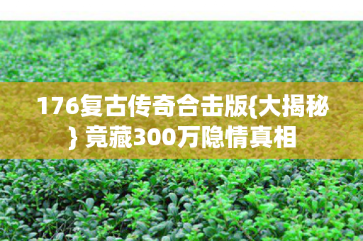 176复古传奇合击版{大揭秘} 竟藏300万隐情真相