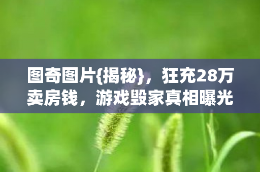 狂充28万卖房钱图片