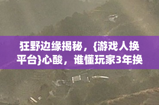 谁懂玩家3年换7平台图片