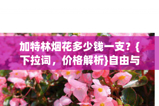 加特林烟花多少钱一支图片