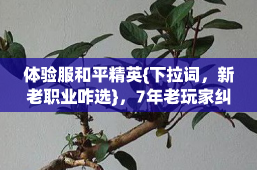 7年老玩家纠结之选图片