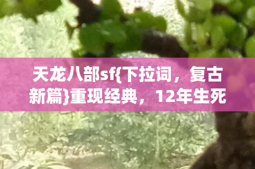 12年生死局真相曝光图片