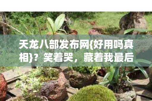 藏着我最后的认真图片