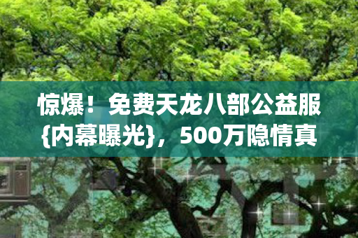 500万隐情真相揭秘图片