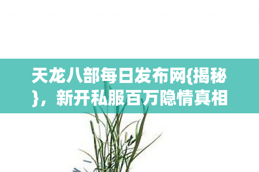 新开私服百万隐情真相图片