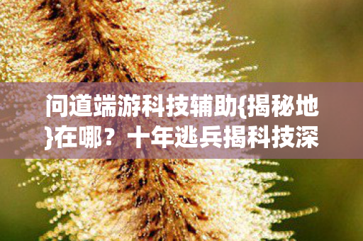十年逃兵揭科技深渊图片