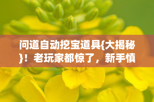 问道自动挖宝道具图片