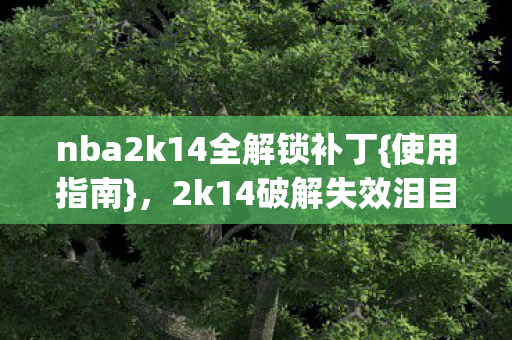 nba2k14全解锁补丁图片