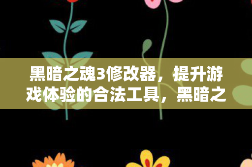 提升游戏体验的合法工具图片