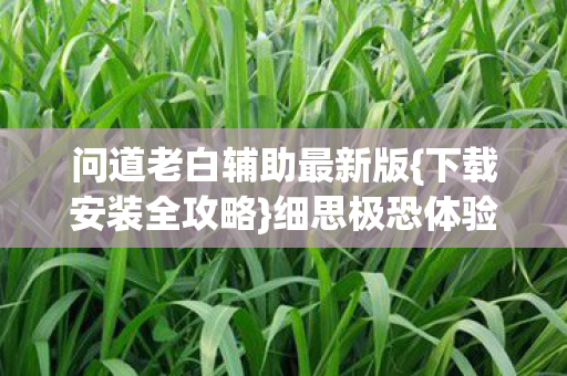问道老白辅助最新版图片