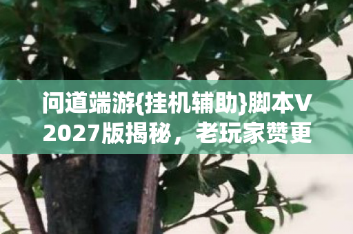 脚本V2027版揭秘图片