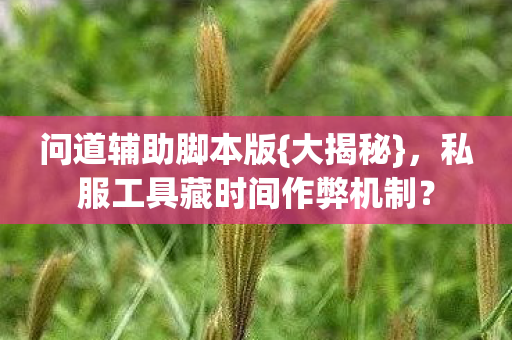 私服工具藏时间作弊机制图片
