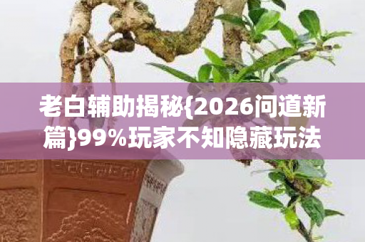 2026问道新篇图片