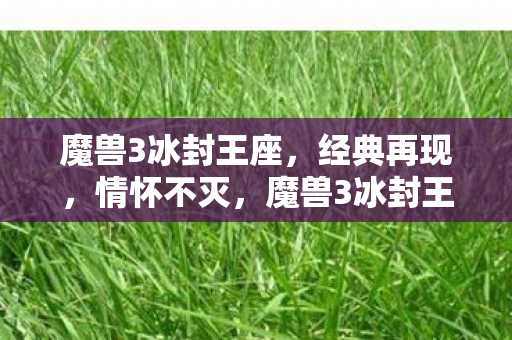 魔兽3冰封王座图片