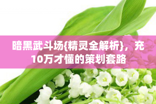 充10万才懂的策划套路图片