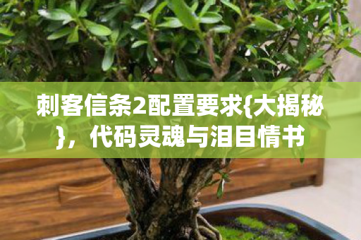 刺客信条2配置要求图片