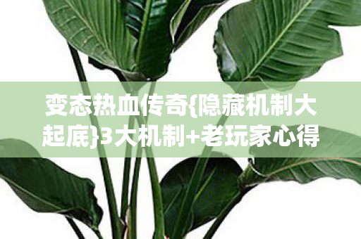 隐藏机制大起底图片