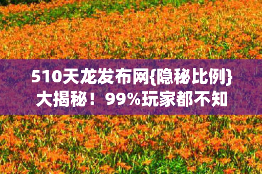 510天龙发布网图片