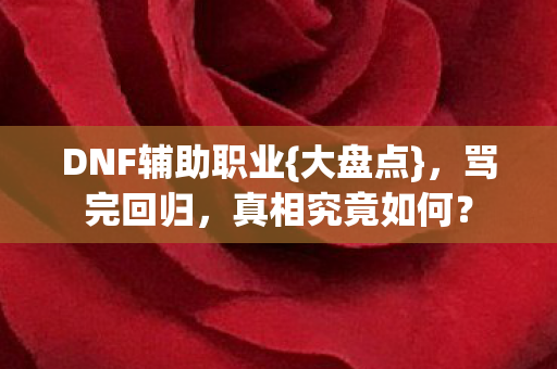 DNF辅助职业图片