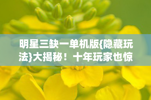 明星三缺一单机版图片