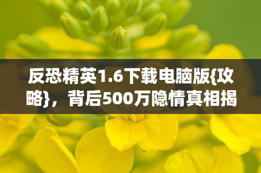 反恐精英1.6下载电脑版{攻略}，背后500万隐情真相揭秘