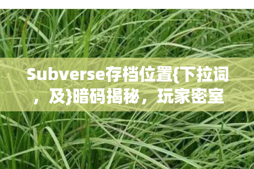 Subverse存档位置图片