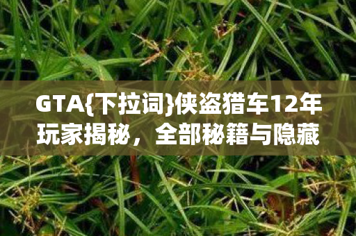 侠盗猎车12年玩家揭秘图片