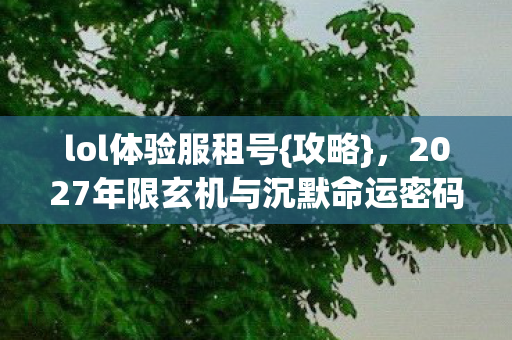 2027年限玄机与沉默命运密码图片