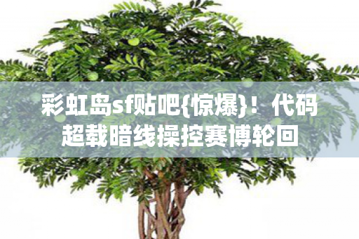 代码超载暗线操控赛博轮回图片